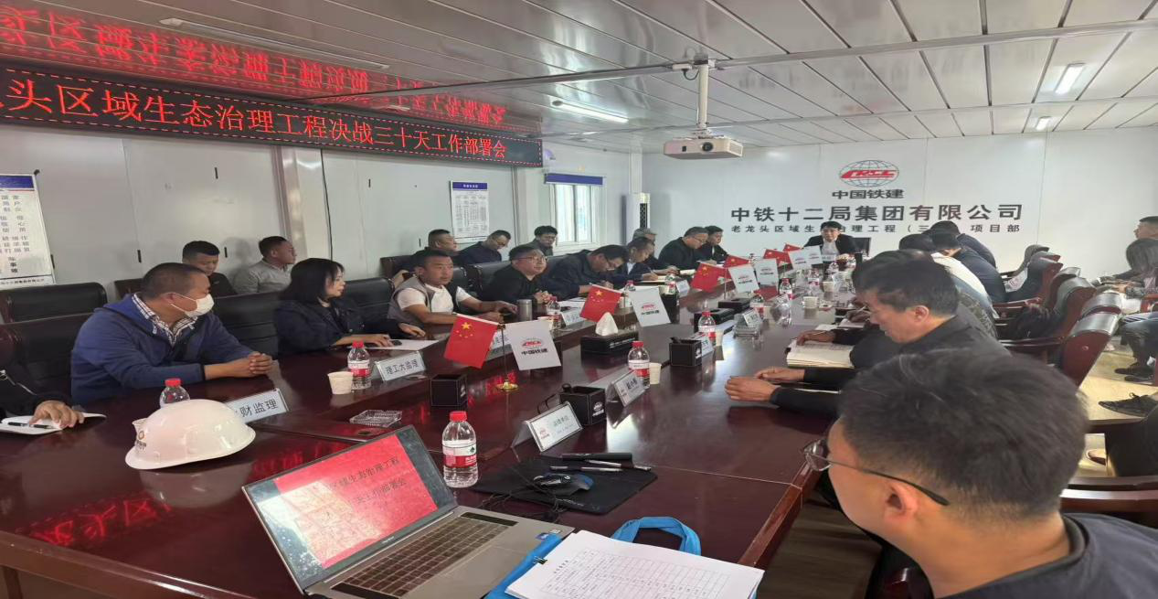 老龙头区域生态治理工�E�决战三十天工作部��v会暨城运支部“党员突击队�?成立授旗仪式��利举行